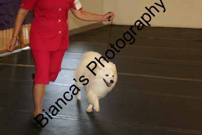 IMG 09894
