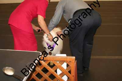 IMG 09909