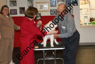 IMG 09928