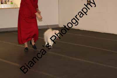 IMG 09933