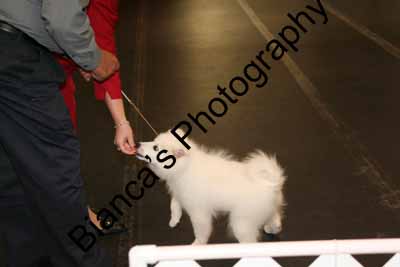 IMG 09938
