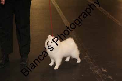 IMG 09966