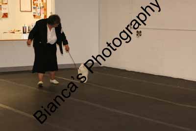 IMG 09980