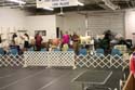 IMG 09570