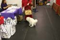IMG 09578
