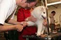 IMG 09580