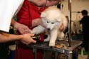 IMG 09581