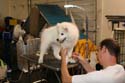 IMG 09583