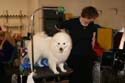 IMG 09585