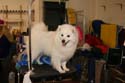 IMG 09587
