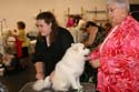 IMG 09591