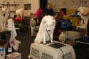 IMG 09617