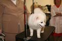 IMG 09619