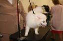 IMG 09621