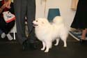 IMG 09647