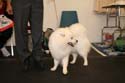 IMG 09648