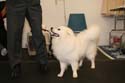 IMG 09649