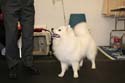 IMG 09650