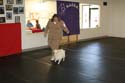 IMG 09659