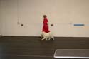 IMG 09667