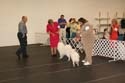 IMG 09675