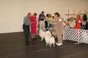 IMG 09676