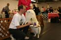 IMG 09681