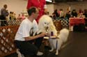 IMG 09682