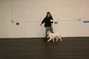 IMG 09685