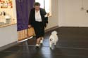 IMG 09688