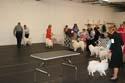 IMG 09695