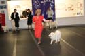 IMG 09708