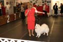 IMG 09709