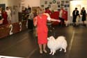 IMG 09711