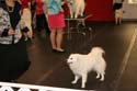 IMG 09719