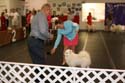 IMG 09723