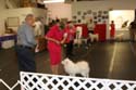 IMG 09730