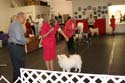 IMG 09731