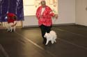 IMG 09735