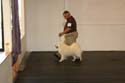 IMG 09752