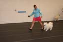 IMG 09753