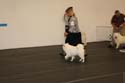 IMG 09758