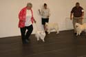 IMG 09759