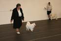 IMG 09761