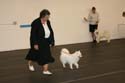 IMG 09762