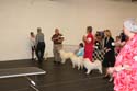 IMG 09763