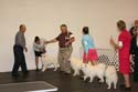 IMG 09764