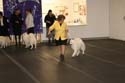 IMG 09779