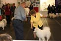 IMG 09780