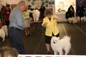 IMG 09781